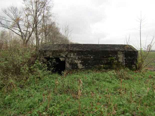 Turnhoutstellung - Bunkers